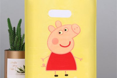 Printed plastic bag factory (8)